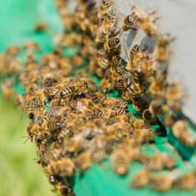 Atorvastatin hives