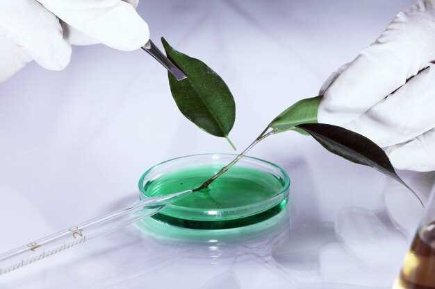 Atorvastatin solubility in organic solvents